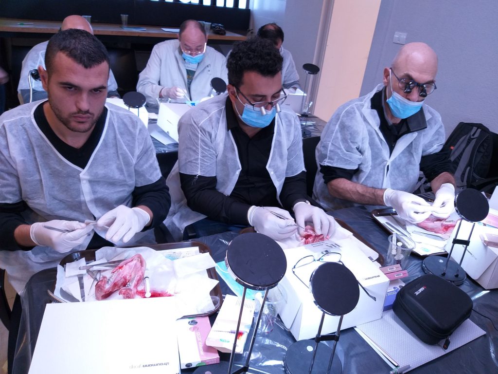 קורס אוגמנטציה עם דר יובל צוברי