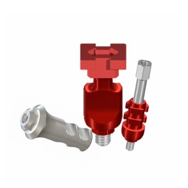 Transfer & Analog - BLT