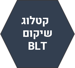 קטלוג_שיקום_BLT